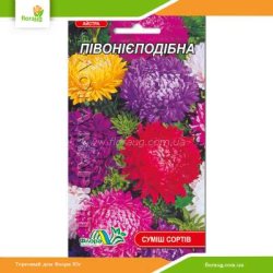 Астра Пионовидная смесь 0,3г (Флора Маркет)