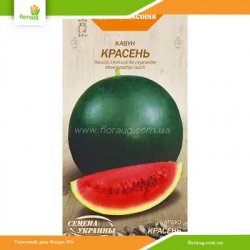 Арбуз Красень 2г (Семена Украины)