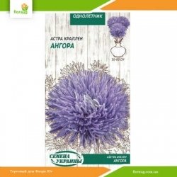 Астра краллен Ангора 0,25г (Семена Украины)