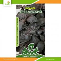 Базилік фіолетовий Єреванський 0,5г (Велес)