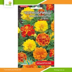 Чорнобривці Відхилені махрові суміш 0,2г (Флора Маркет)