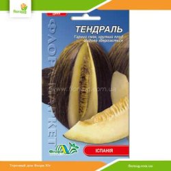 Дыня Тендраль 0,4г (Флора Маркет)