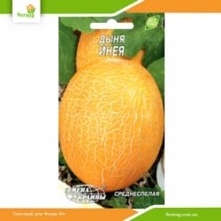 Дыня Инея 2г (Семена Украины)