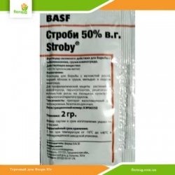 Фунгицид Строби 2г BASF