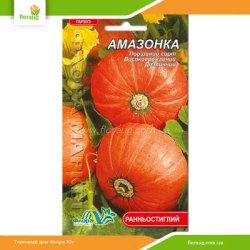 Гарбуз Амазонка 5шт (Флора Маркет)