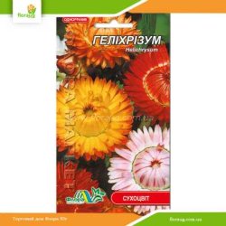 Геліхрізум 0,1г (Флора Маркет)