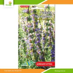 Гісоп лікарський 0,1г (Флора Маркет)