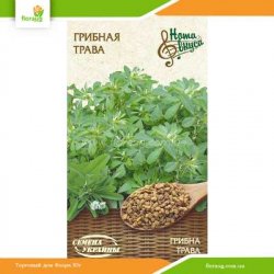 Грибная трава 1г (Семена Украины)