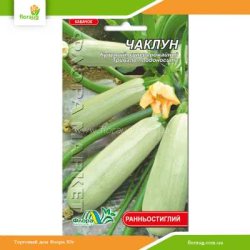Кабачок Чаклун 3г (Флора Маркет)
