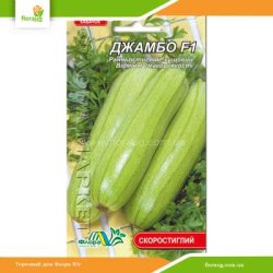 Кабачок Джамбо F1 1г (Флора Маркет)