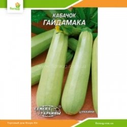 Кабачок Гайдамака 3г (Семена Украины)
