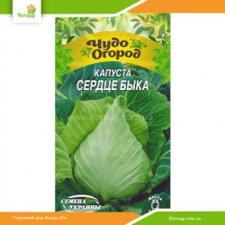 Капуста Сердце быка 0,5г (Семена Украины)