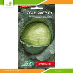 Капуста Трансфер F1 0,2г (Флора Маркет)