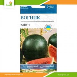 Кавун Вогник 2г (Велес)