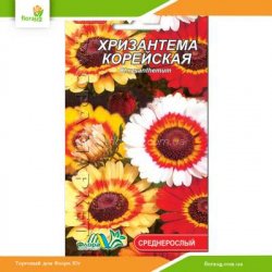 Хризантема корейская 0.2г (Флора Маркет)