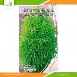 Кохия Чайлдса вечнозеленая 0,5г (Семена Украины)