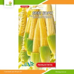 Кукурудза Бебі корн 1г (Флора Маркет)
