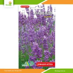 Лаванда 0,05г (Флора Маркет)
