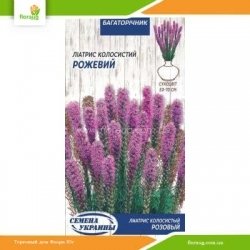 Лиатрис Колосистый Розовый 0,2г (Семена Украины)