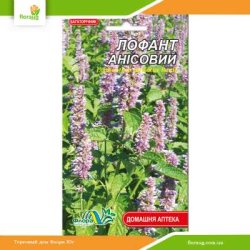 Лофант Анісовий 0,1г (Флора Маркет)