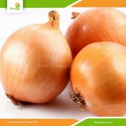 Цибуля сіянка Стурон (Голландія) 500г