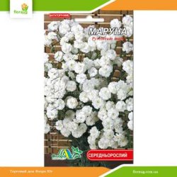 Маруна (матрикария) 0,1г (Флора Маркет)