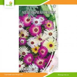 Мезембриантемум  0.2г (Семена Украины)