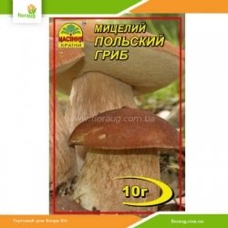 Мицелий Польский Гриб 10г
