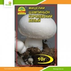 Міцелій Печериця Королівська біла 10г