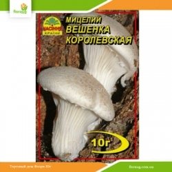 Мицелий Вешенка Королевская 10г