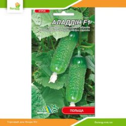 Огурец Аладдин F1 0,5 г (Флора Маркет)