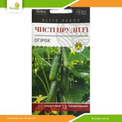 Огурец Чистые пруды F1 10шт (Велес)