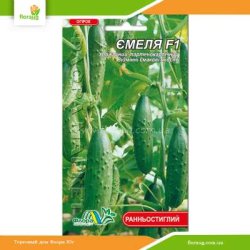 Огірок Ємеля F1 0,3г (Флора Маркет)