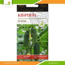 Огурец Кибрия F1 10 шт (Велес)
