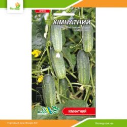 Огірок Кімнатний 0,25г (Флора Маркет)