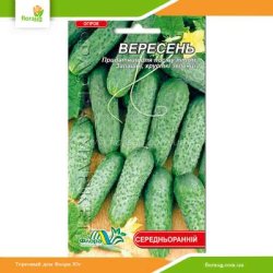 Огірок Вересень 1г (Флора Маркет)