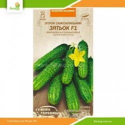 Огурец самоопыляемый Зятек F1 0,25г (Семена Украины)