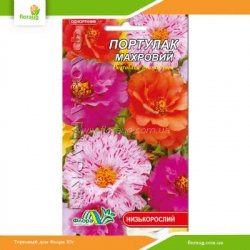 Портулак Махровый смесь 0,05г (Флора Маркет)
