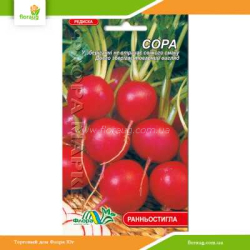 Редис Сора 2г (Флора Маркет)
