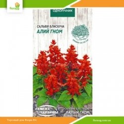 Сальвия Блестящая Алый гном 0,2г (Семена Украины)