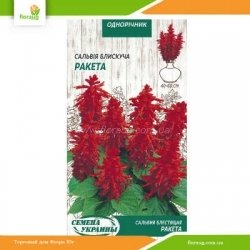Сальвия блестящая Ракета 0,2г (Семена Украины)