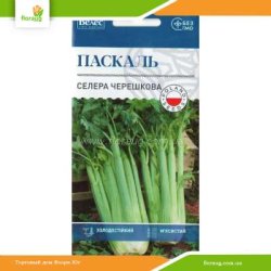 Селера черешкова Паскаль 0,5г (Велес)