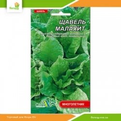 Щавель Малахит 1г (Флора Маркет)