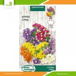 Статица смесь 0,2г (Семена Украины)