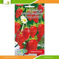 Суниця Олександрія 0,03г (Флора Маркет)