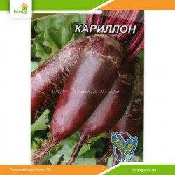 Свекла Кариллон 15г (Країна насіння)