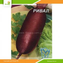 Буряк Рівал 15г (Країна насіння)