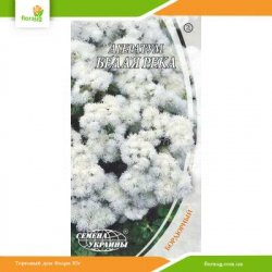 Агератум Белая река 0,2г (Семена Украины)