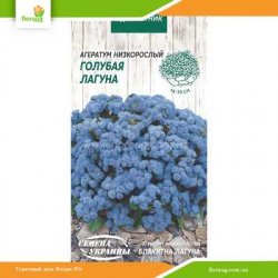 Агератум Голубая лагуна 0,1г (Семена Украины)