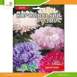 Астра Королевский размер смесь 0,3г (Флора Маркет)